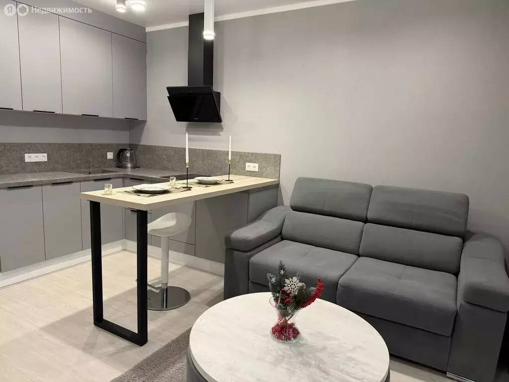 Квартира-студия: посёлок Пригородный, Лесная улица, 2И (29 м) - Фото 1