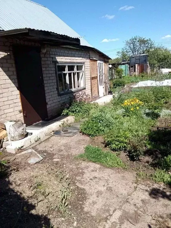 Участок в Оренбургская область, Оренбургский район, Нежинский ... - Фото 1