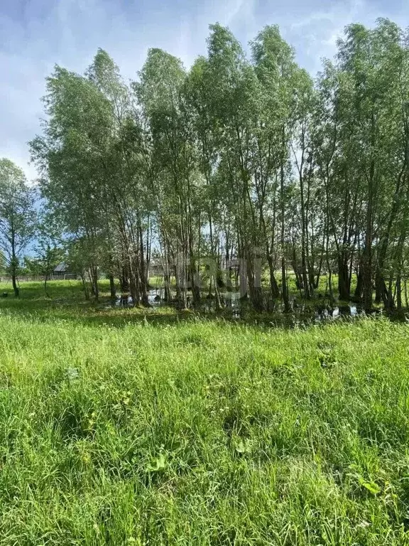 Участок в Башкортостан, Бирский район, Бурновский сельсовет, с. ... - Фото 2