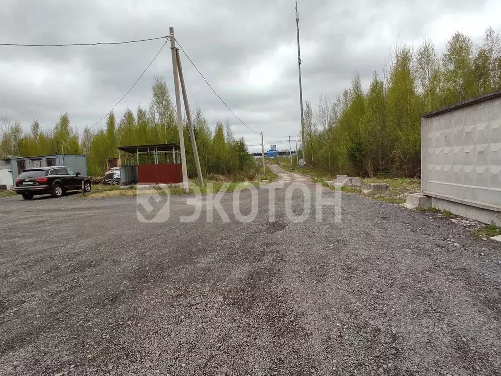 Офис в Ленинградская область, Всеволожский район, Муринское городское ... - Фото 2