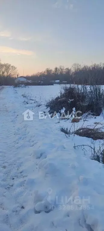 Участок в Воронежская область, Новоусманский район, с. Рогачевка  ... - Фото 1