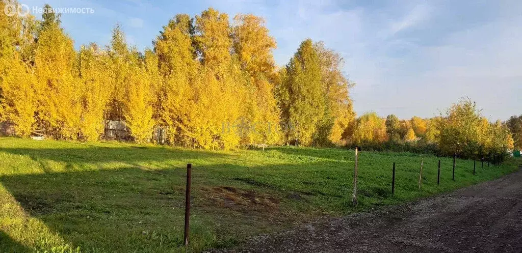 Участок в Шуваевский сельсовет, ДНТ Ясное (12.6 м) - Фото 0