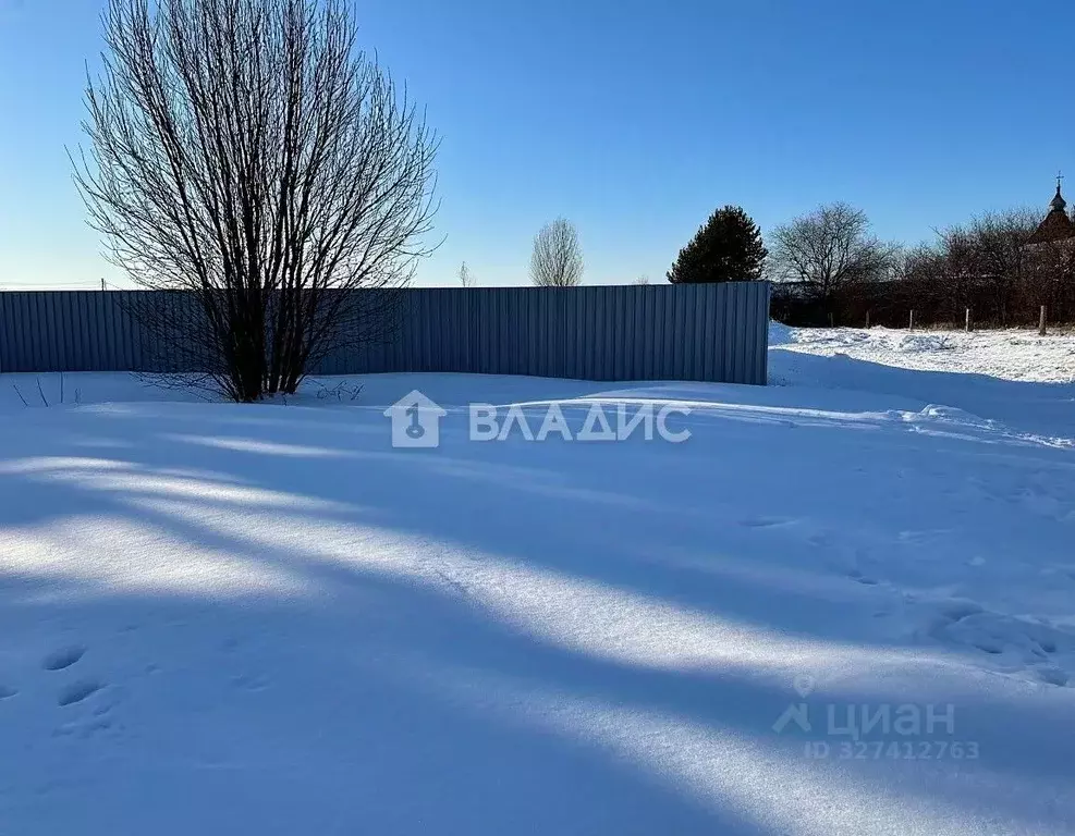 Участок в Московская область, Воскресенск городской округ, с. ... - Фото 1