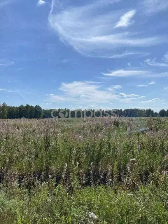 Участок в Тюменская область, Тюменский район, д. Ушакова Зеленая ул. ... - Фото 1