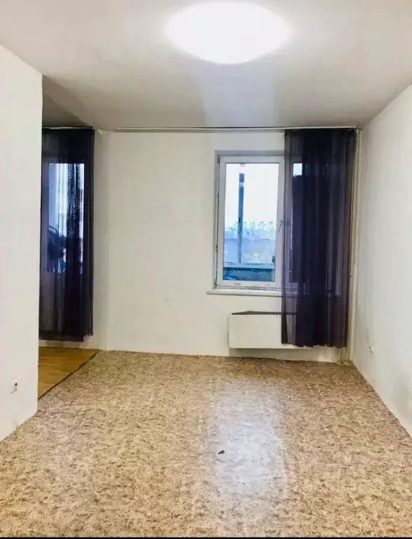 1-к кв. Московская область, Балашиха Саввино мкр, ул. Саввинская, 17 ... - Фото 0