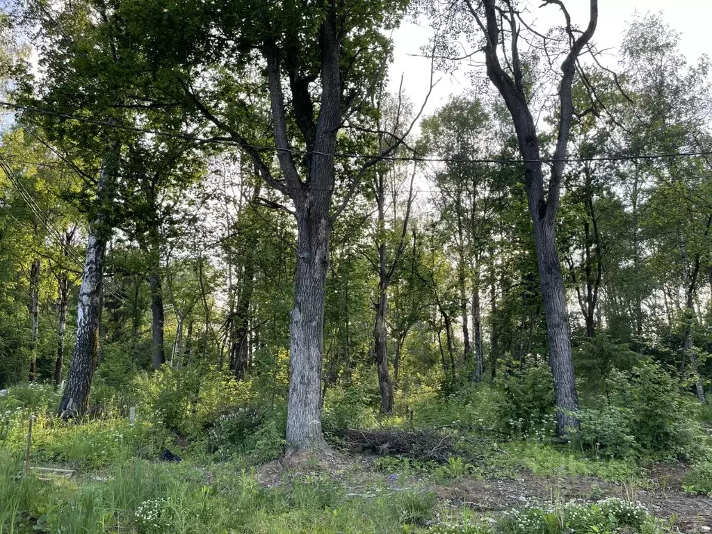 Участок в Московская область, Дмитровский муниципальный округ, д. ... - Фото 2
