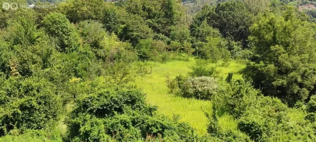 Участок в село Черешня, Владимировская улица, 68 (115 м) - Фото 2