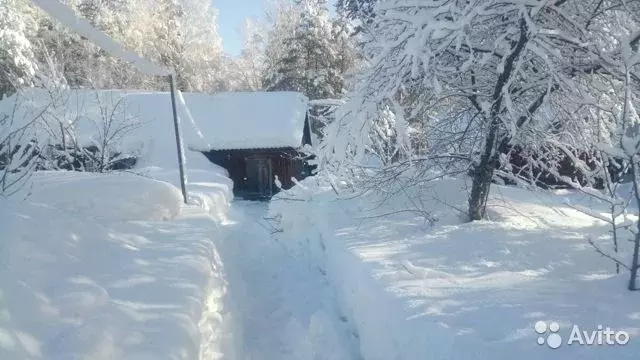 Погода в ларичихе алтайского края