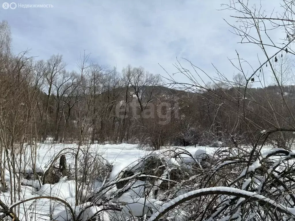 Участок в Майминский район, посёлок Филиал, улица Мелиораторов (15 м) - Фото 2