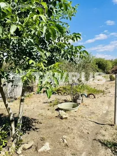 Участок в Трудовское сельское поселение, село Ана-Юрт, СПК Труд, улица ... - Фото 2