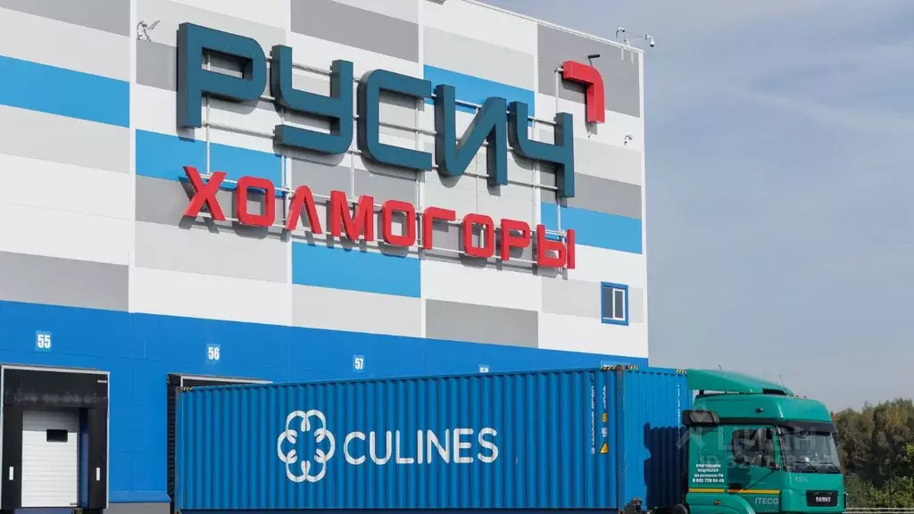 Склад в Московская область, Пушкинский городской округ, д. Талицы 4А ... - Фото 2