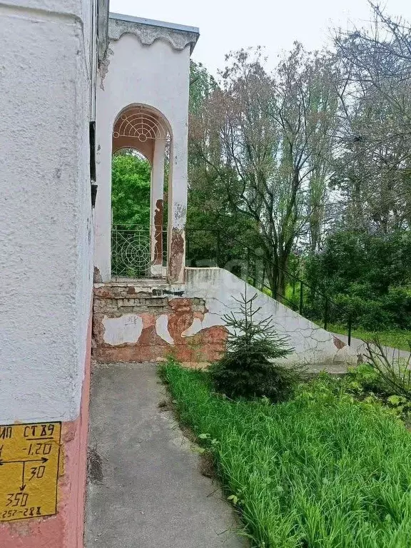 Помещение свободного назначения в Липецкая область, Липецк 15-й мкр, ... - Фото 1