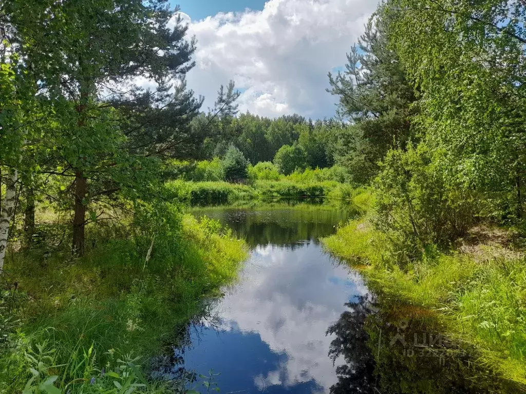 Участок в Тверская область, Калининский муниципальный округ, д. ... - Фото 2