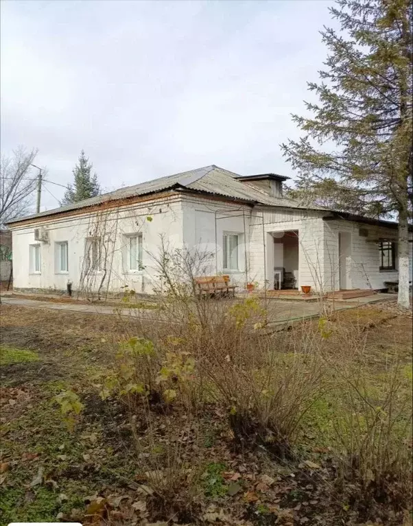 Дом в Амурская область, Райчихинск Тенистая ул., 1 (129 м) - Фото 1