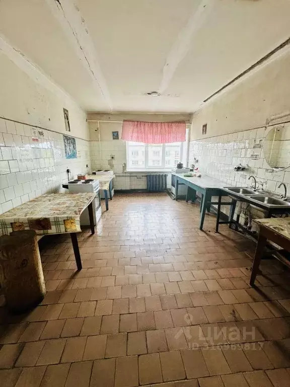 1-к кв. Нижегородская область, Бор ул. Чугунова, 13 (23.6 м) - Фото 1