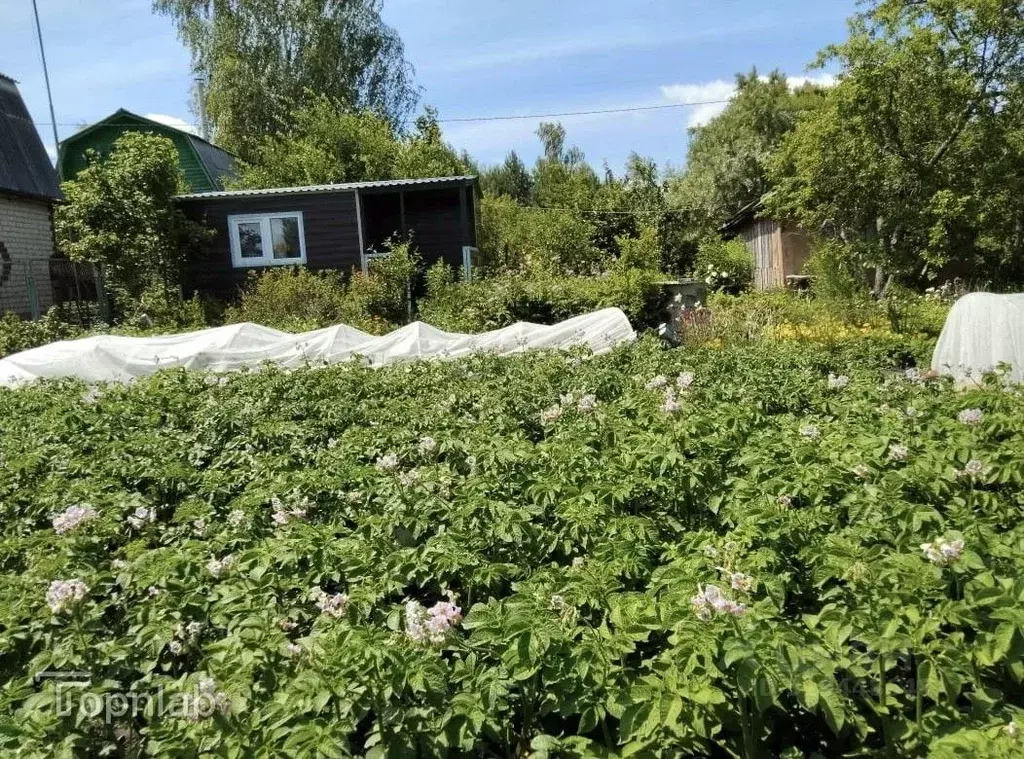 Дом в Орловская область, Орловский район, с. Спасское (Спасское ... - Фото 2