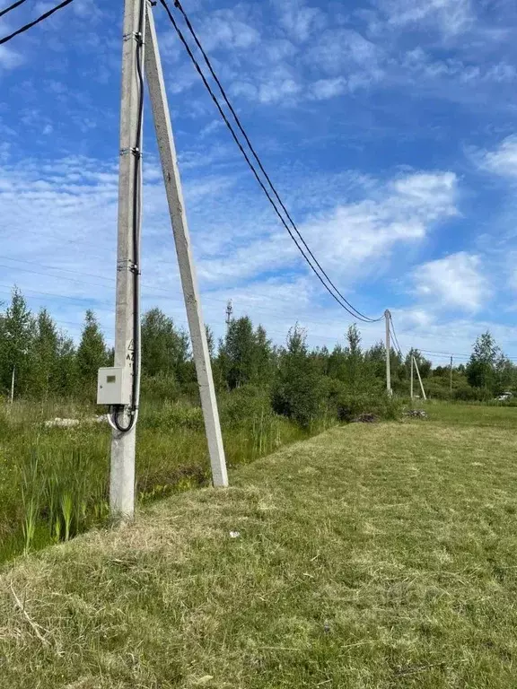 Участок в Новгородская область, Чудово ул. Черемуховая (12.0 сот.) - Фото 0