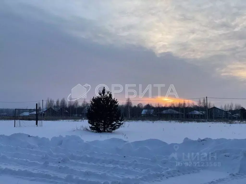 Участок в Тюменская область, Тюменский муниципальный округ, ... - Фото 2