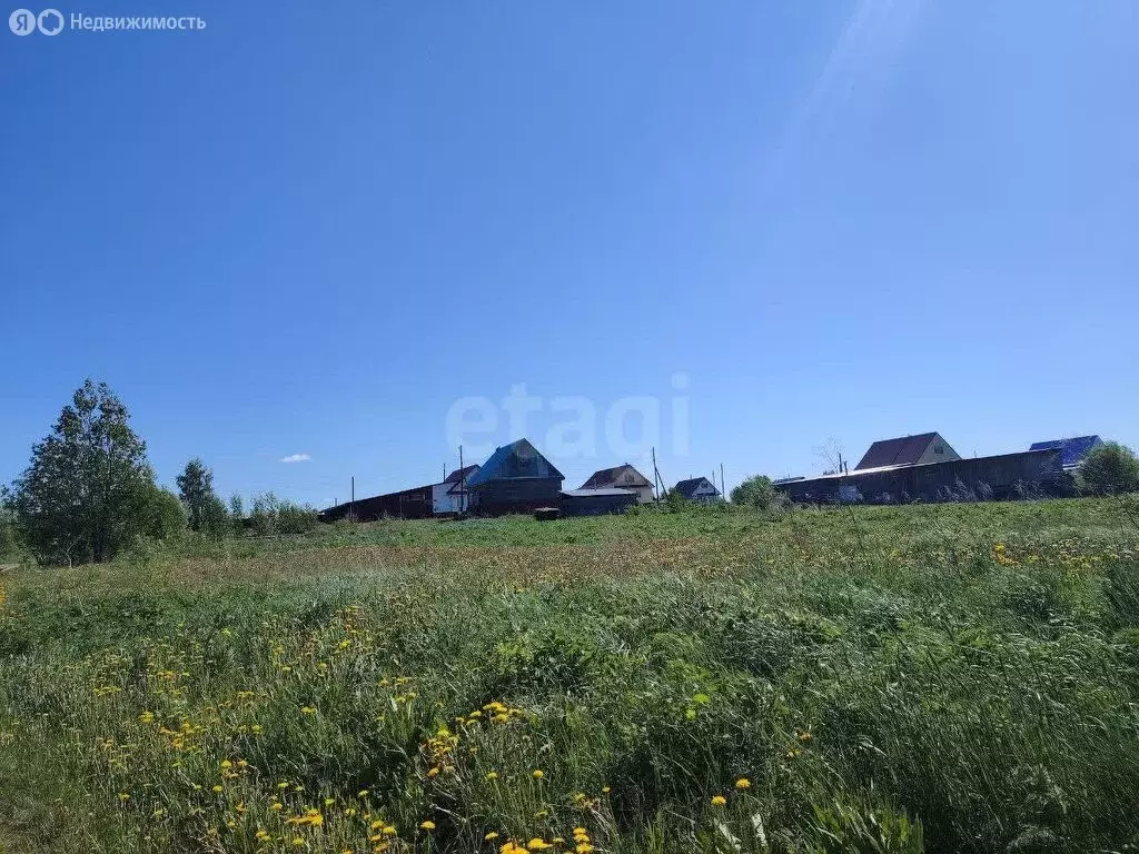 Участок в Пермский край, Чернушинский муниципальный округ, деревня ... - Фото 1