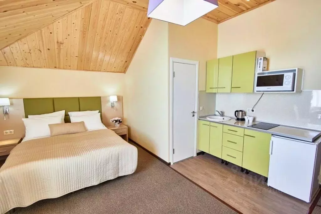 1-к кв. Краснодарский край, Сочи Курортный просп., 111/5к10 (25.0 м) - Фото 2