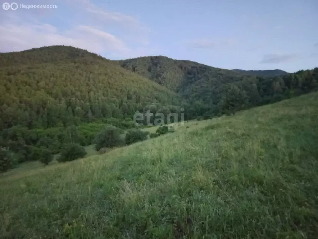 Участок в Алтайский край, Бийск (50 м) - Фото 0