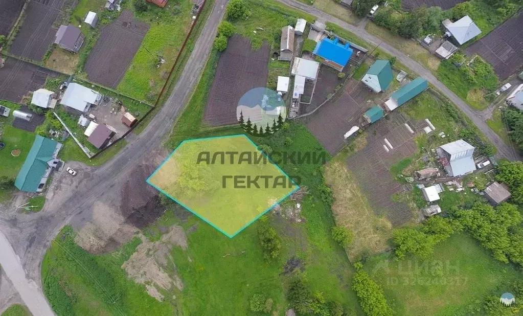 Участок в Алтайский край, Первомайский район, пос. Бажево ул. ... - Фото 2