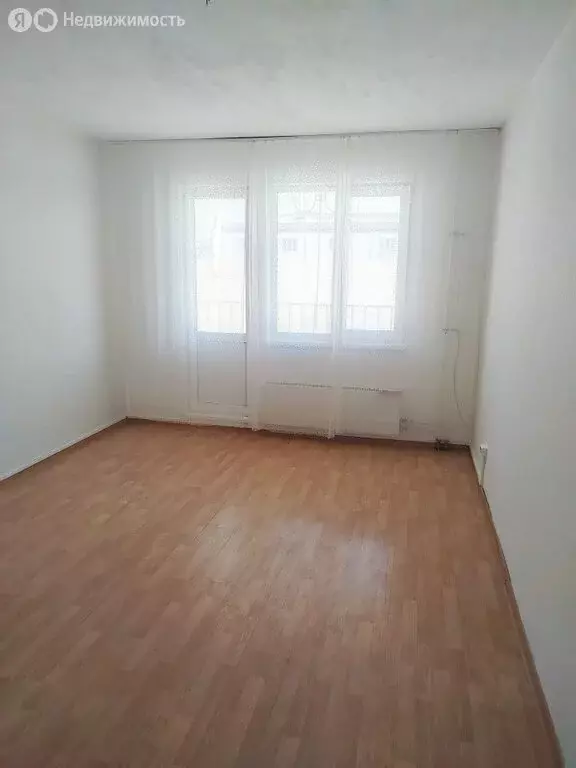 Квартира-студия: село Косулино, улица Огородников, 51 (24 м) - Фото 1