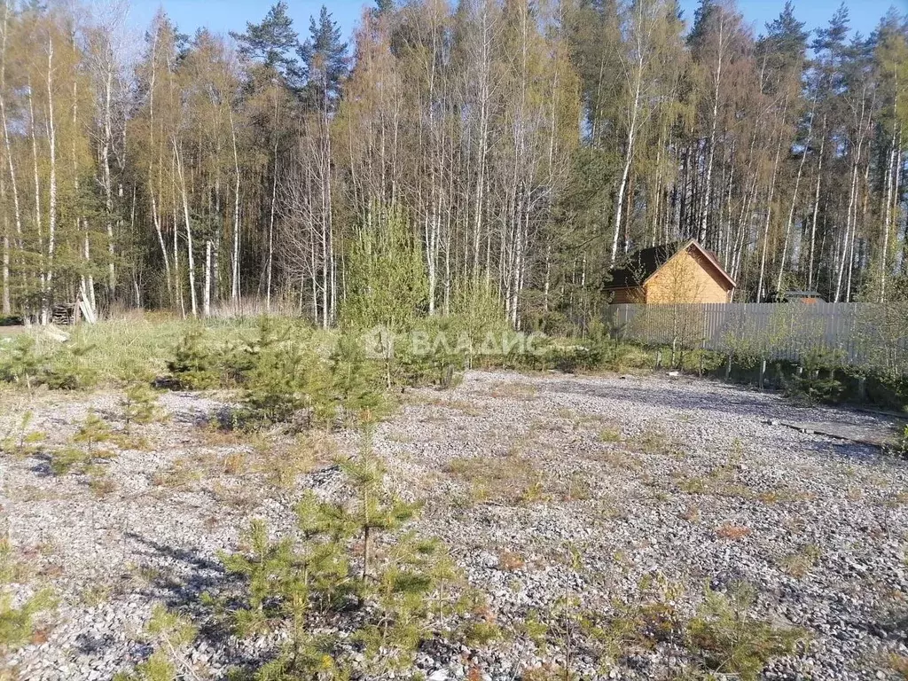 Участок в Ленинградская область, Всеволожский район, Рахьинское ... - Фото 0