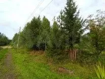 Участок 14 сот. (СНТ, ДНП) - Фото 0