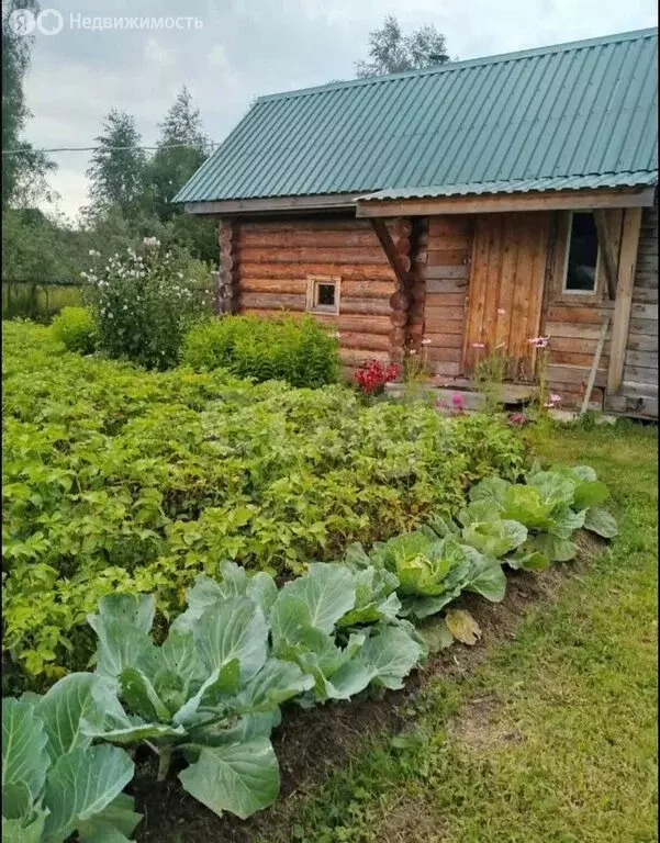 Дом в посёлок городского типа Калашниково, улица Лизы Чайкиной (79 м) - Фото 2