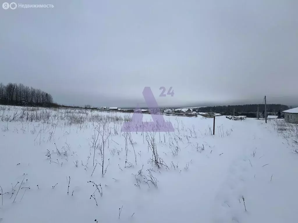 Участок в Пермский муниципальный округ, село Башкултаево (3.2 м) - Фото 1