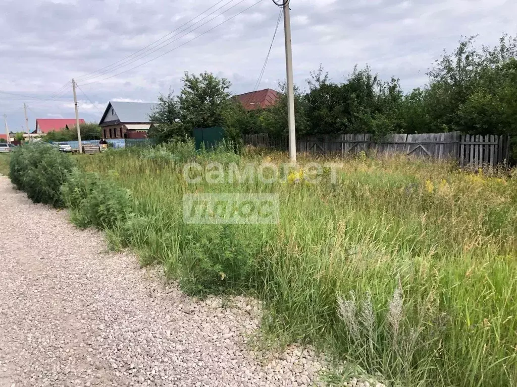 Участок в Ульяновская область, Чердаклинский район, ... - Фото 1