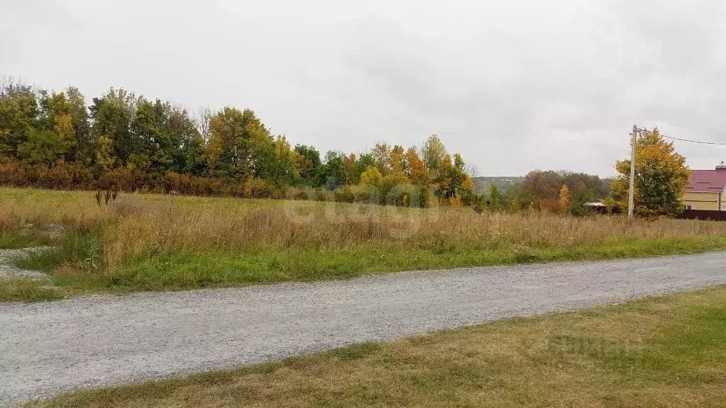 Участок в Воронежская область, Семилукский район, с. Землянск  (17.22 ... - Фото 1