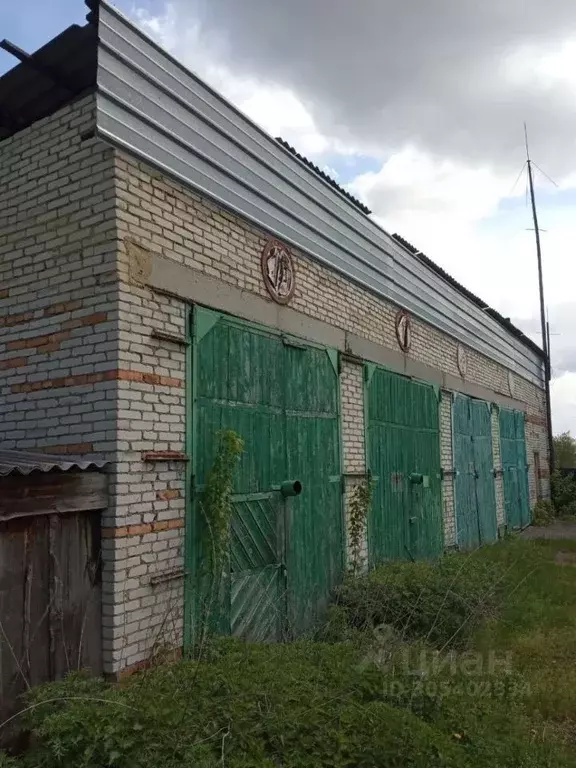 Гараж в Курганская область, с. Альменево ул. Комсомола, 10 (224 м) - Фото 1