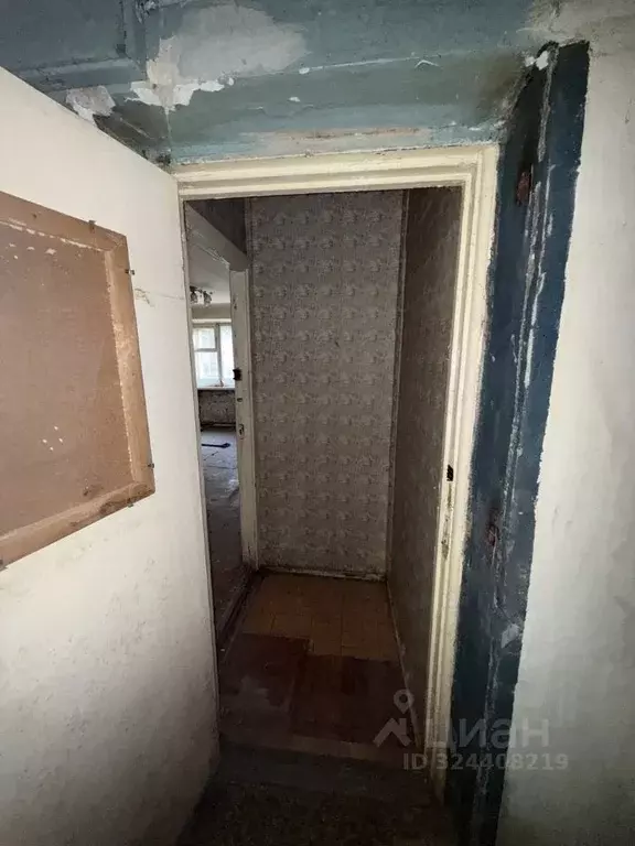 Помещение свободного назначения в Нижегородская область, Павлово ул. ... - Фото 2