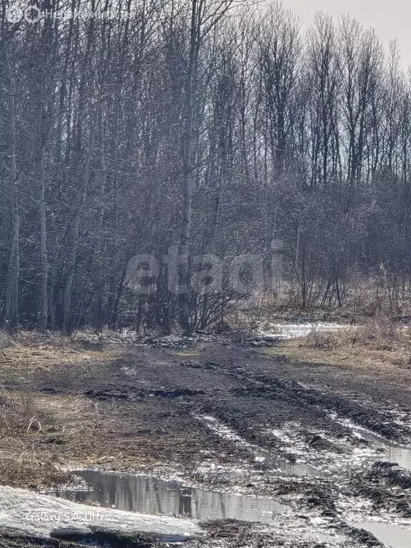 Участок в село Байкалово, Молодёжная улица (20 м) - Фото 2