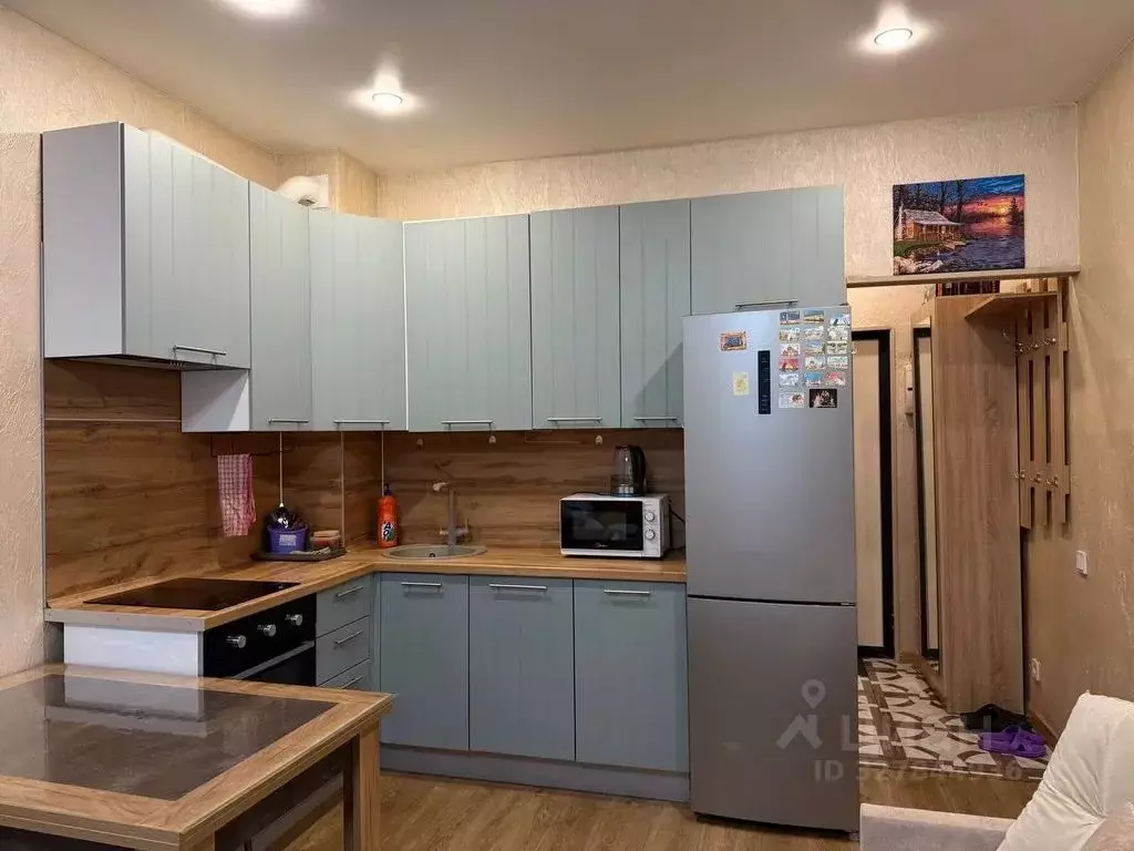 Студия Московская область, Солнечногорск городской округ, Голубое пгт ... - Фото 2