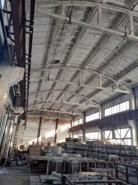 Производственное помещение в Ленинградская область, Приозерск ул. ... - Фото 2