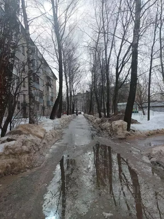 1-к кв. Московская область, Лосино-Петровский ул. Горького, 23 (32.0 ... - Фото 0