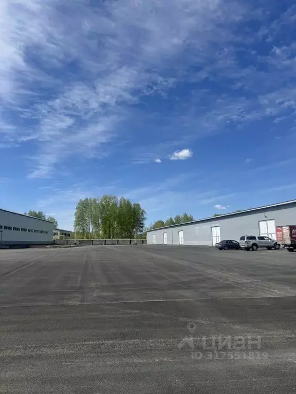 Помещение свободного назначения в Кемеровская область, Кемерово ул. ... - Фото 1