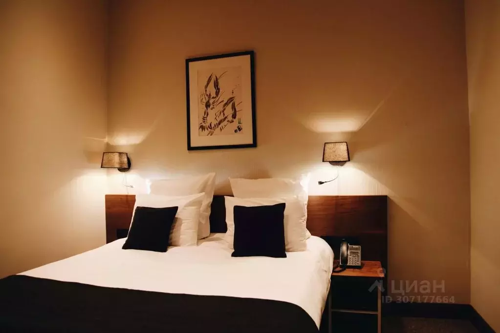 Комната Москва Бауманская ул., 58/3С5 (16.0 м) - Фото 1