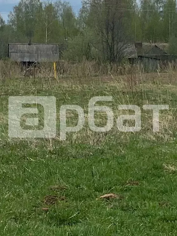 Участок в Костромская область, Костромской район, с. Сущево Заречная ... - Фото 0