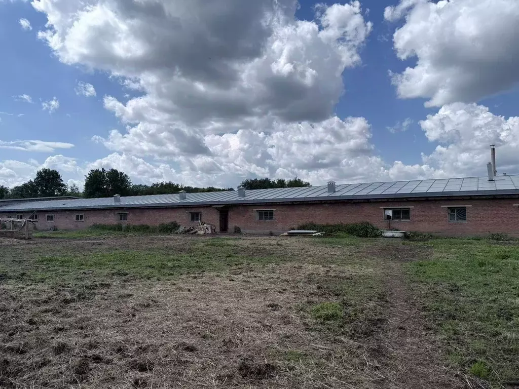 Помещение свободного назначения в Московская область, Богородский ... - Фото 1