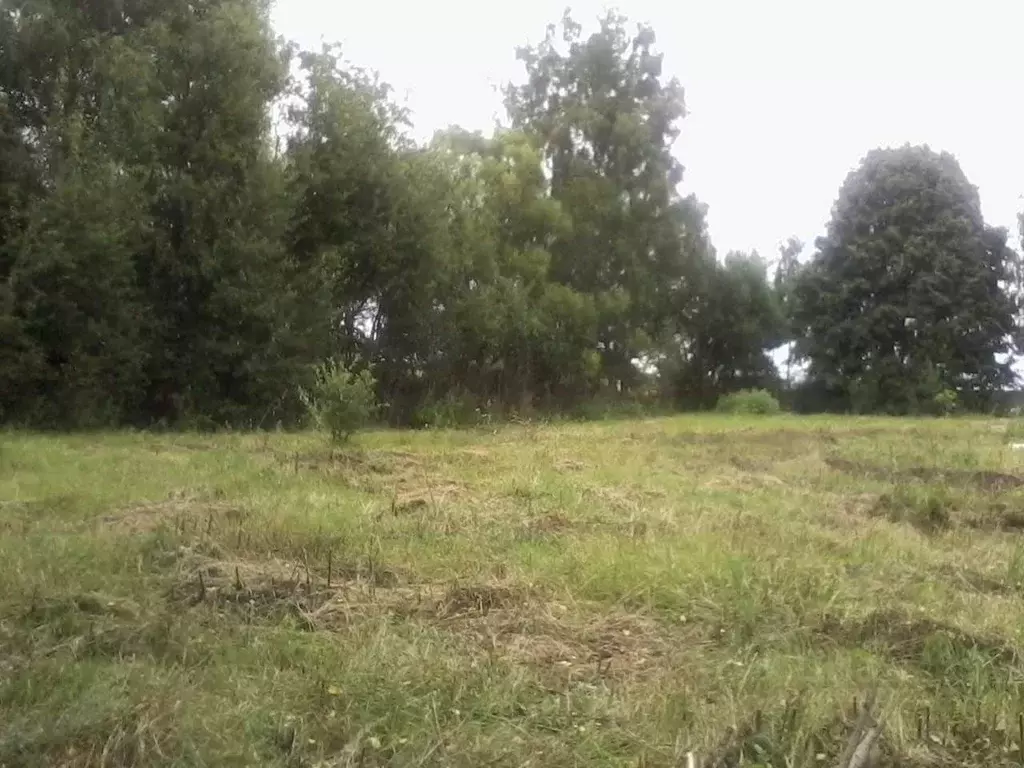 Участок в Калужская область, Бабынинский муниципальный округ, Утешево ... - Фото 2