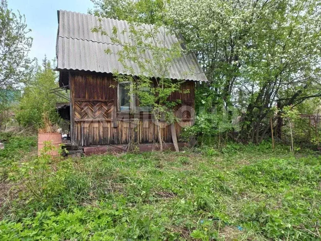 Дом в Новосибирская область, Новосибирск Золотая Горка СНТ,  (40 м) - Фото 0