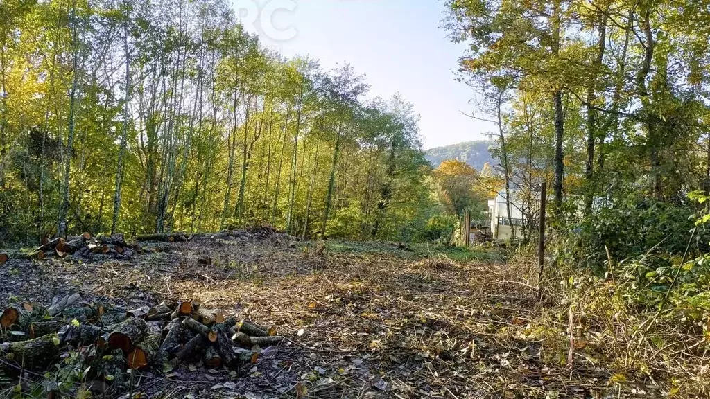 Участок в Краснодарский край, Сочи городской округ, Дагомыс пгт ш. ... - Фото 0