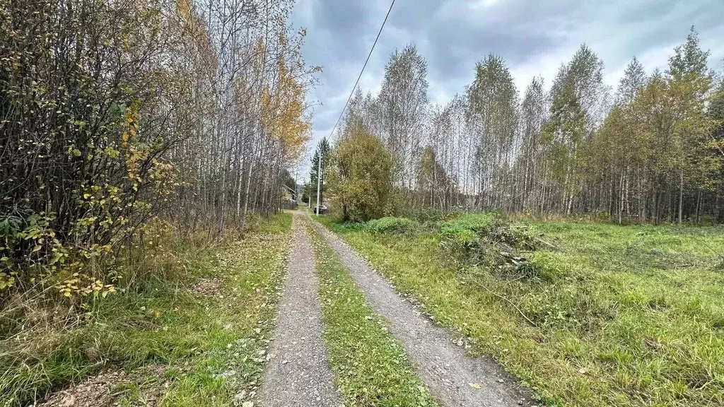 Участок в Томская область, Томск Радуга садовое товарищество, 23 (6.0 ... - Фото 2