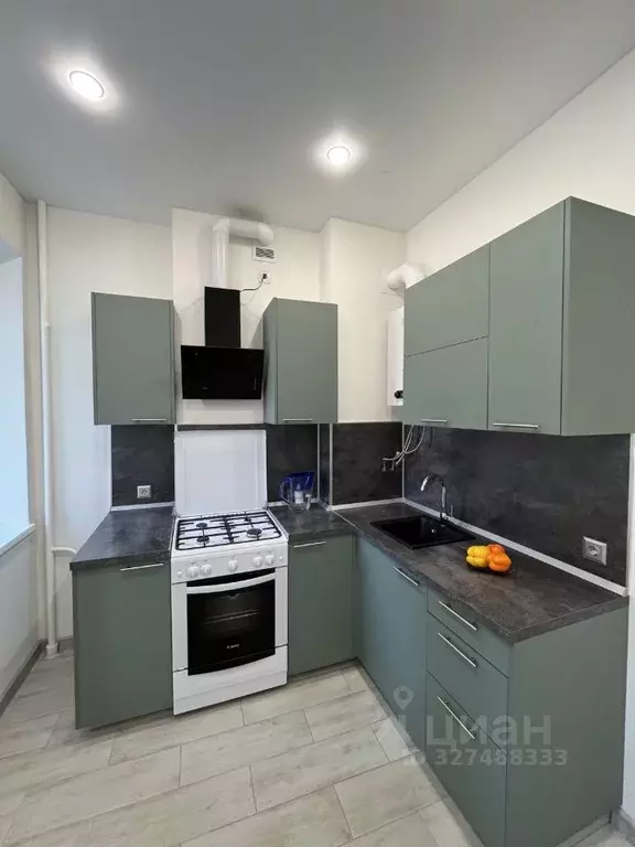 2-к кв. Санкт-Петербург пос. Металлострой, Пионерская ул., 2 (50.0 м) - Фото 1