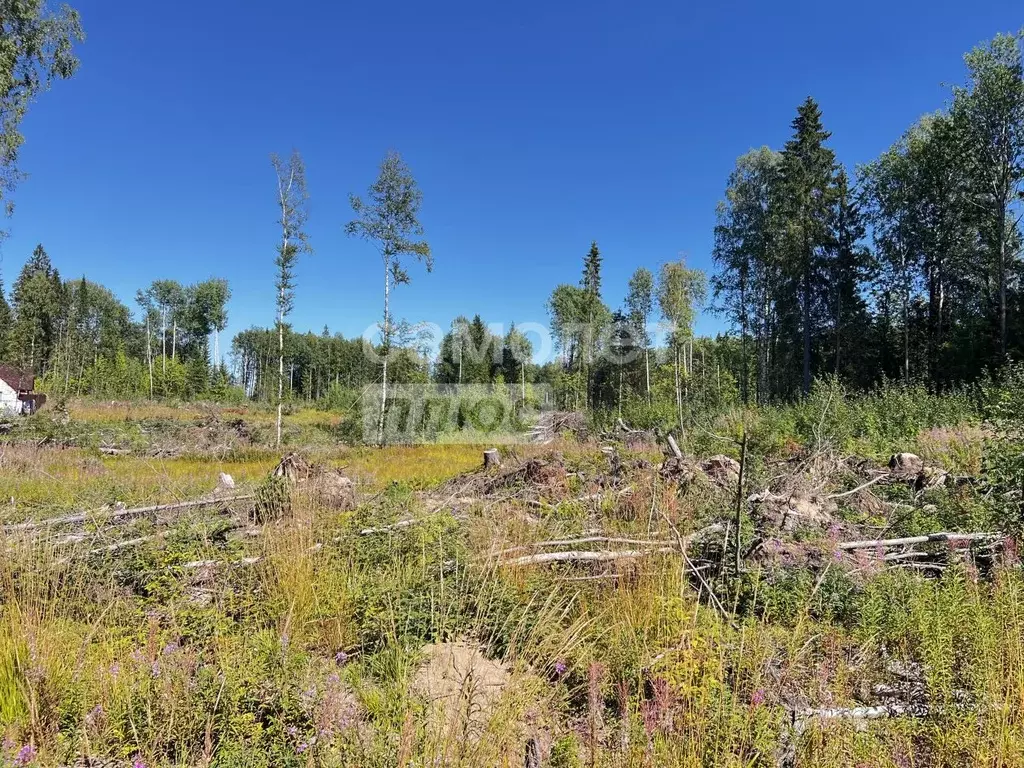 Участок в Пермский край, Березники ул. Васильковая, 1 (8.7 сот.) - Фото 2