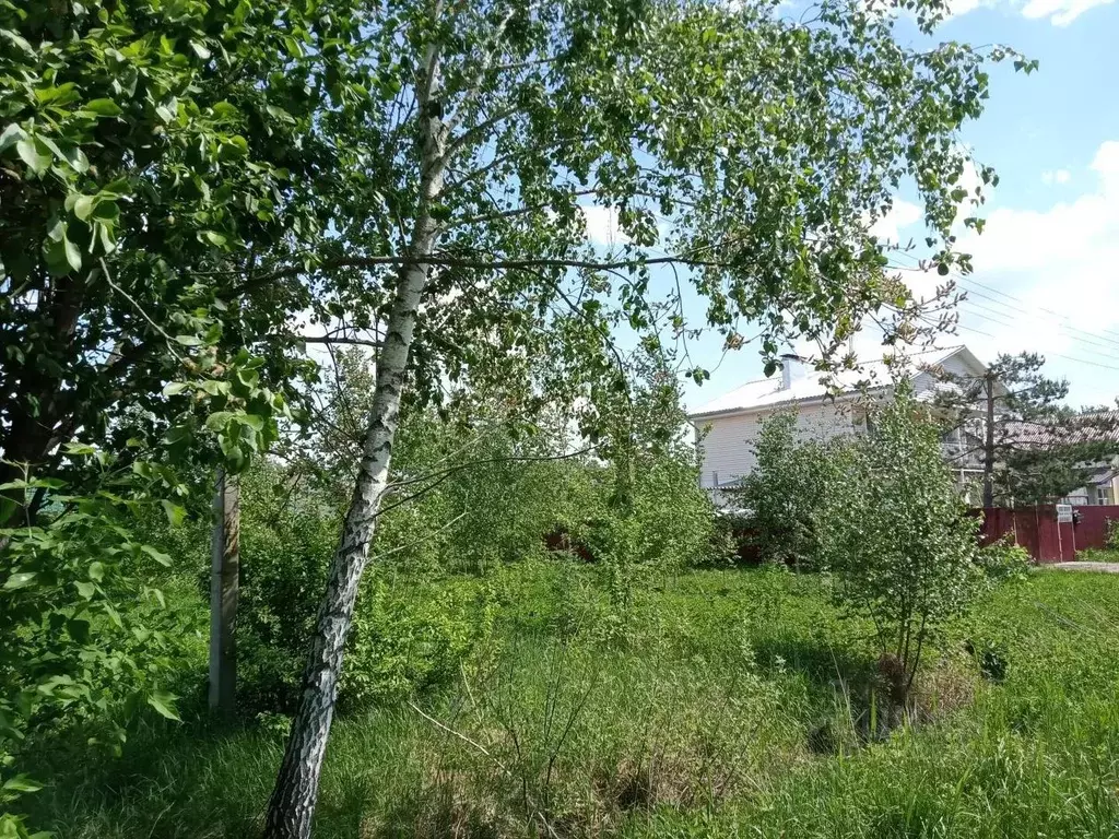 Участок в Московская область, Воскресенск городской округ, д. ... - Фото 2